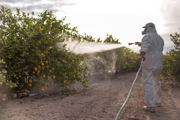 Best Pest Prevention Services  in Cambridge City, IN