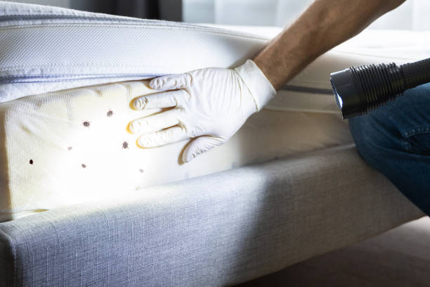 Pest Prevention Services in Cambridge City, IN