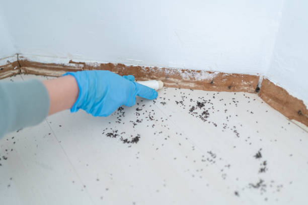 Best Pest Prevention Services  in Cambridge City, IN